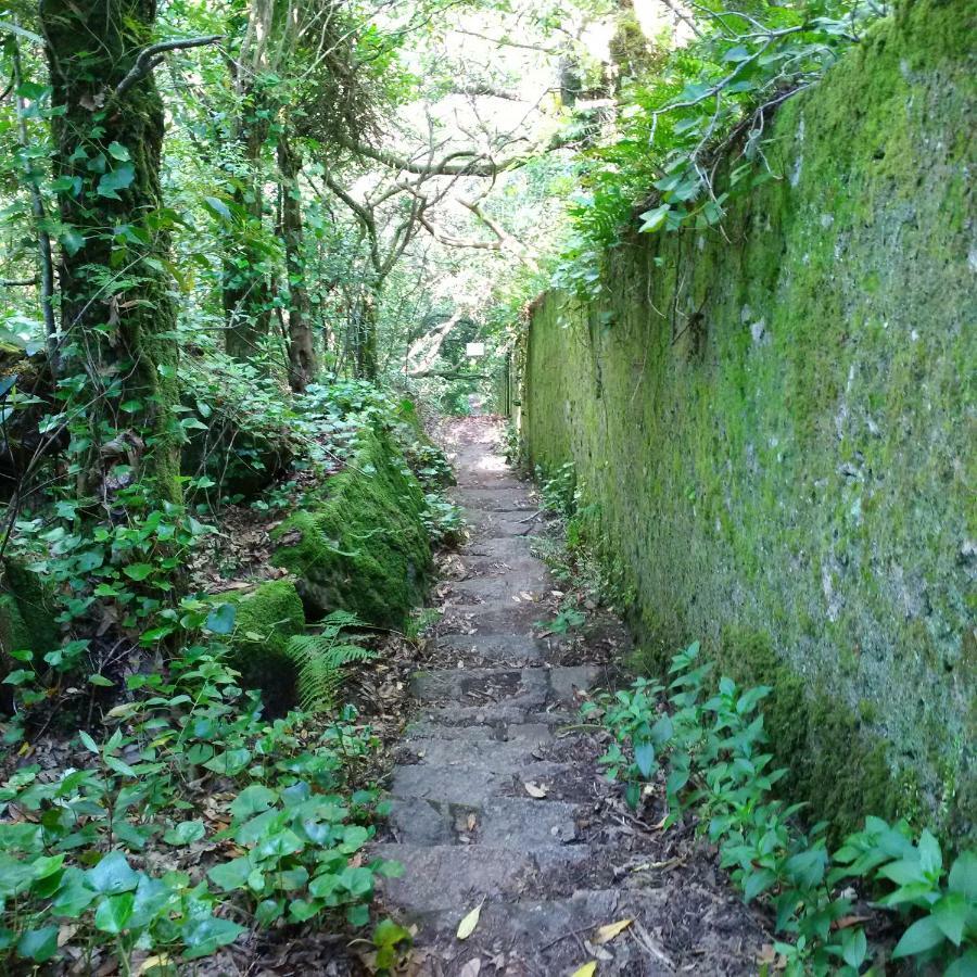 Villa Mucifal D Sintra Kültér fotó